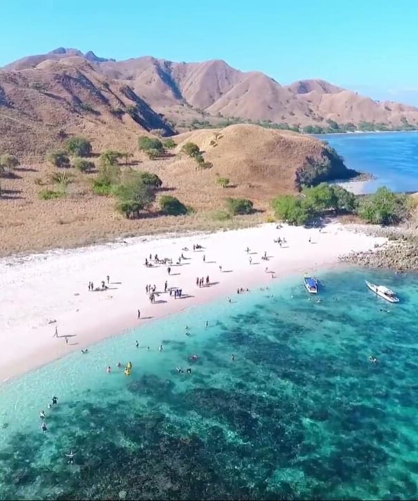 komodo day trip
