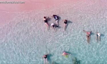 komodo island shore excursions