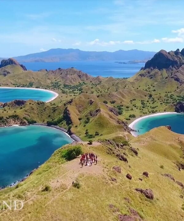 komodo island day trip