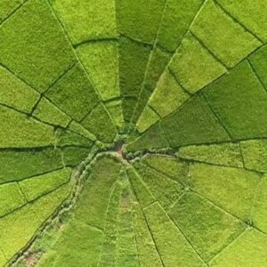 lauan bajo city tour