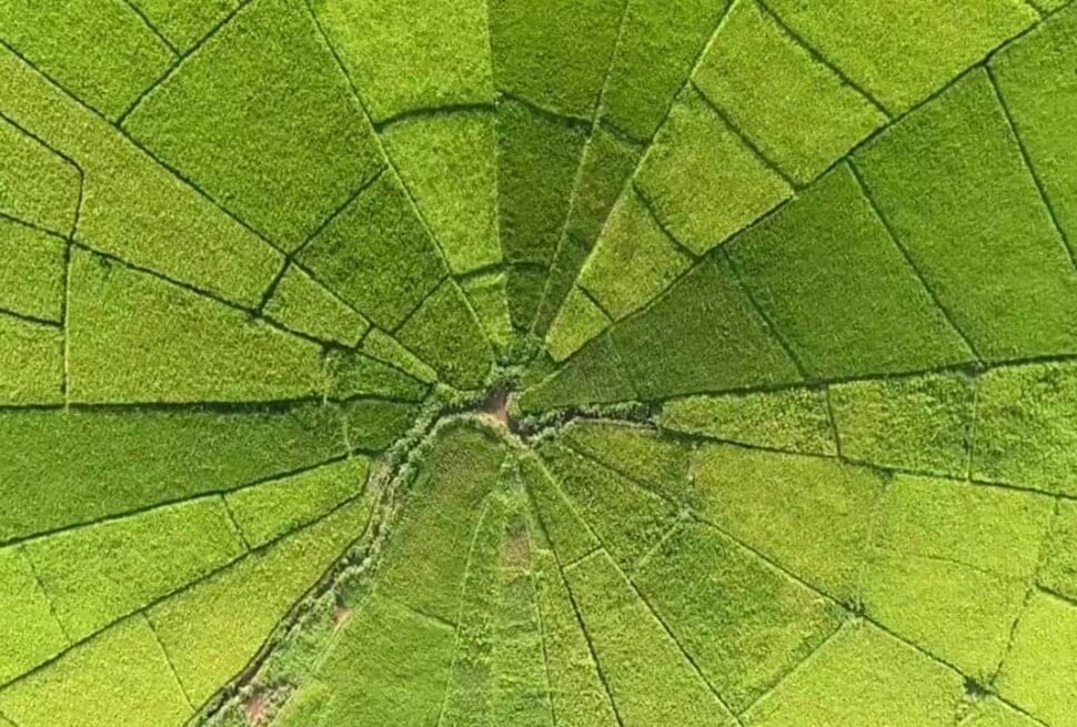 lauan bajo city tour